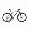 VTT KTM Myroon Elite Metallic Grey