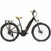 Vélo Électrique Granville E-Absolute 34+ Bordeaux 400 Wh 2023