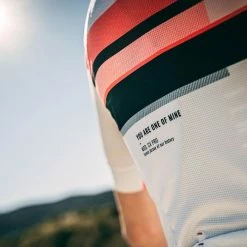 Maillot Manches Courtes Gobik Cx Pro Pink Streak Unisex -VÉLOS Soldes Magasin maillot unisex cxpro pink streak gobik warm series22 6 1 700x700 5